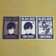 ぴょんこ様 リクエスト 2点 まとめ商品