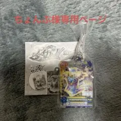 ちょんぷ様専用ページ