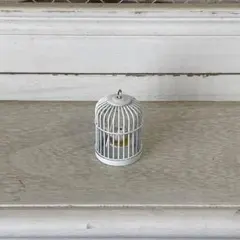 ディクラッセ 廃盤 鳥かご ペンダントライト 小鳥2羽 グリーン アンティーク調 ディクラッセ 廃盤 鳥かご ペンダントライト 小鳥2羽 グリーン