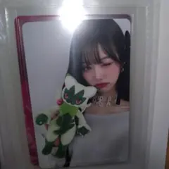 IVE ALIVE ウォニョントレカ ポケモン