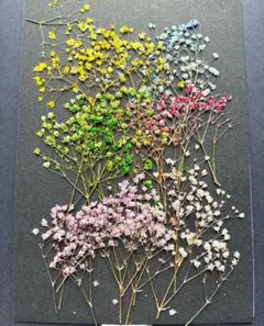 Item thumbnail for item 1ae08997-2b38-4aac-9d7f-899b77f6216e