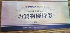 YAMADA HLDGS. お買物優待券 10枚