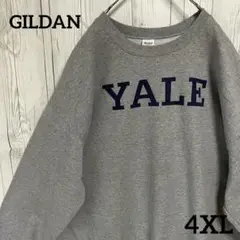 YALE イェール大学 スウェットトレーナー 　グレー　大きめ4XL　USA古着