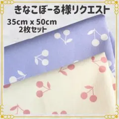 【きなこぼーる様リクエスト】ランチョンマット 給食ナフキン 35×50 ２枚