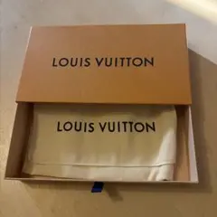 LOUIS VUITTON ショップ袋 大・小セット