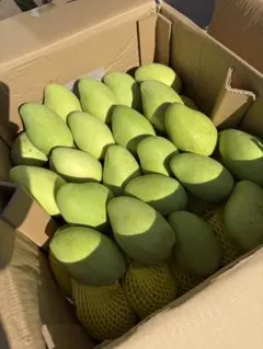 ベトナム産グリーンマンゴー（約10kg）冷蔵配送 ベトナム産グリーンマンゴー約5kg冷蔵発送 - メルカリ