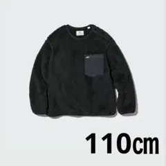 Item thumbnail for item 878448d1-1558-49fa-bc3a-5d6d432173bb