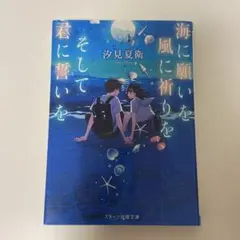 海に願いを風に祈りをそして君に誓いを 汐見夏衛