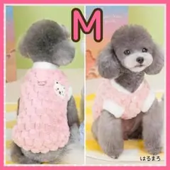 Item thumbnail for item 9ba1ab19-6f67-4a4b-962c-65554b28780f