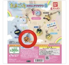 たまごっち めじろしアクサリー3