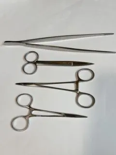 2025年最新】#Mizuhoikaの人気アイテム - メルカリ