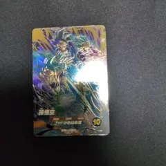 AP２−001孫悟空　パラレル