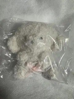 じょせまる ガチャ セット売り バラ売り可
