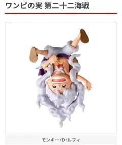 ワンピの実　第二十二海戦　モンキー・D・ルフィ
