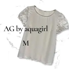 Item thumbnail for item 4ebe25df-7d9c-4c83-9474-c819ab427be2