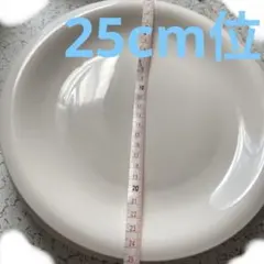 Item thumbnail for item faec7a83-1f9c-480b-aa0d-2a516964b46b