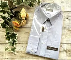 Item thumbnail for item 8db27942-7d0e-40f9-b816-463f4f47e4c1