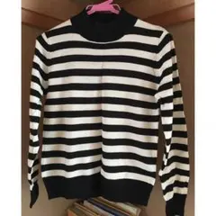 earth ボーダーニット