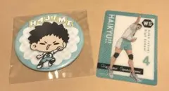ハイキュー!! POPUP マルイ mochocho 缶バッジ 岩泉