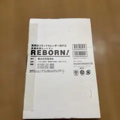 家庭教師 ヒットマン REBORN 2012 集英社 カレンダー