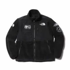 ノースフェイス セブンサミット デナリフリース　L THE NORTH FACE セブンサミット デナリジャケット 海外限定 海外