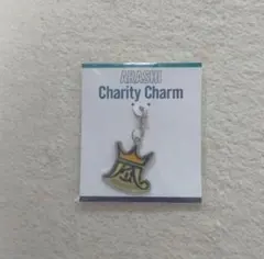 嵐 チャリティーチャーム