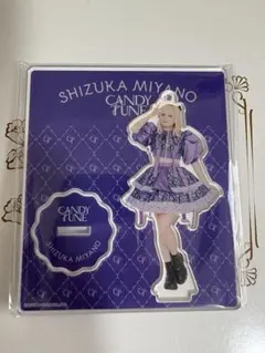 CANDYTUNE宮野静アクリルパネル SHIZUKA MIYANO ACRYLIC STAND 宮野静アクリルスタンド