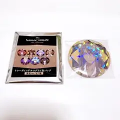レオナ ホログラム 缶バッジ ツイステ アニメーション 缶バ