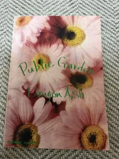 Dragon Ash Public Garden バンドスコア