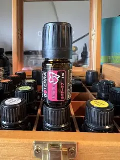 2025年最新】doterraホリデーラブの人気アイテム - メルカリ