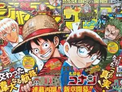 Jump Sunday 2022 OnePiece Conan Set #253