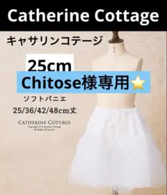 Chitose様専用⭐️キャサリンコテージ☆ソフトパニエ☆25cm