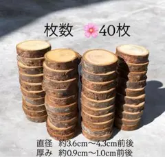 Item thumbnail for item 45f306f7-02af-4d2c-86fd-881387a7a623