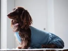 miu☆さま専用ページ