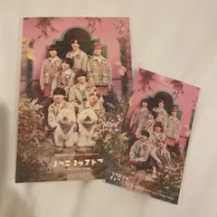 なにわ男子 ポストカード ステッカー