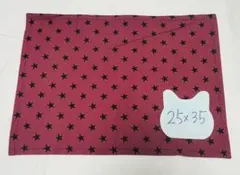 Item thumbnail for item 1f336f06-7e0c-4330-88b5-156b9cc82606