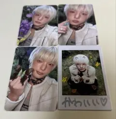 &TEAM HARUA Back To Life BtLトレカ 4枚