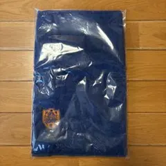 Item thumbnail for item 47dba6f8-00b8-41d0-a644-0c2478005311