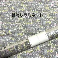 セール ラミネート ラスト リバティ ジェニーズリボンズ 24GR ホビーラ
