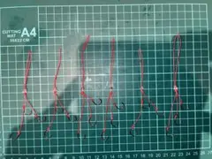 さぼてん　即購入OK様 リクエスト 2点 まとめ商品