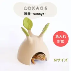 【爬虫類シェルター 砂屋 】多肉植物風 かわいい隠れ家 COKAGEのサムネイル