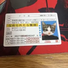 レア なめ猫 免許証 なめんなよゴールド免許証 2025年最新】免許証 ゴールド なめ猫の人気アイテム - メルカリ