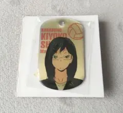 ハイキュー アクリルキーホルダー 清水潔子 水着 - メルカリ