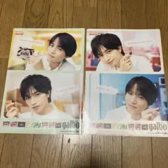 【底値】菊池風磨 中島健人 timeleszクリアファイル 2枚セット