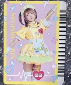 眠岸ぷりん チェキフォルダー NANIMONO【眠岸ぷりん】 まとめ売り 生誕 実写 チェキホルダー バッチ