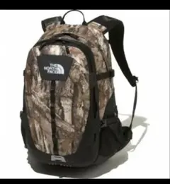 ノースフェイス　 ホットショット クラシック 26L　希少カラー