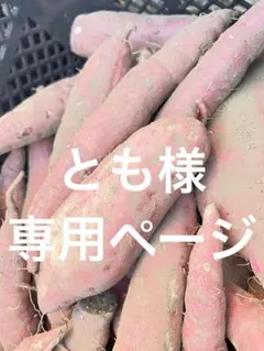 とも様専用ページです。