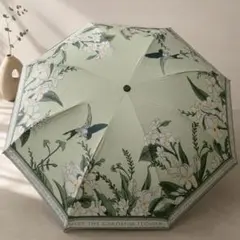 VONLILIENFELD 『花咲くアーモンドの木の枝』折り畳み傘 ゴッホ - メルカリ