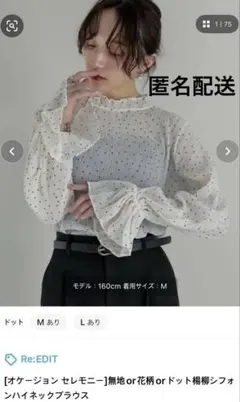 [オケージョン セレモニー]ドット柄 シフォンハイネックブラウス 長袖 透けのサムネイル