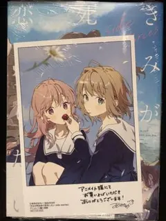 きみが死ぬまで恋をしたい side stories 特典 イラストカード付き